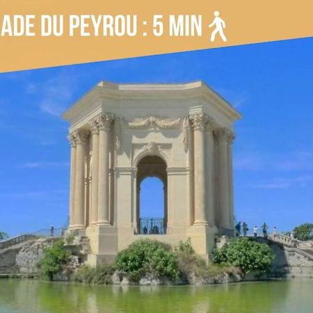 La Suite Eximia Avec Patio - Parking Souterrain Inclus - Centre Historique Montpellier Ngoại thất bức ảnh